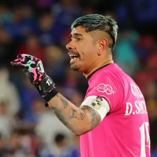 Diego Sánchez ,Photosport