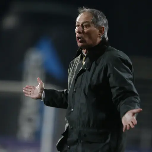 Ariel Holan ,Photosport