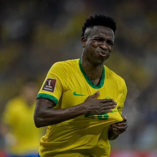 Vinicius Junior, Brasil