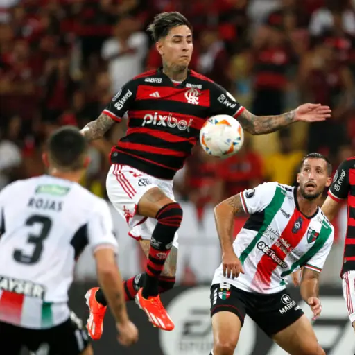 Erick Pulgar, Flamengo