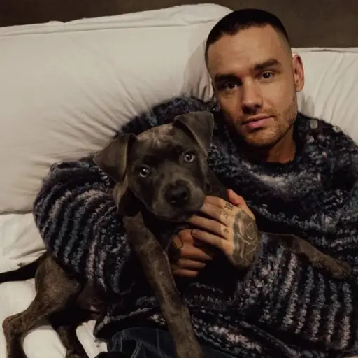 Liam Payne