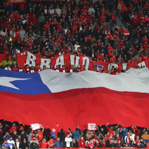 Hinchas Selección