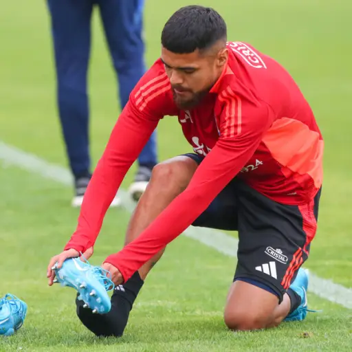 Paulo Díaz ,Photosport