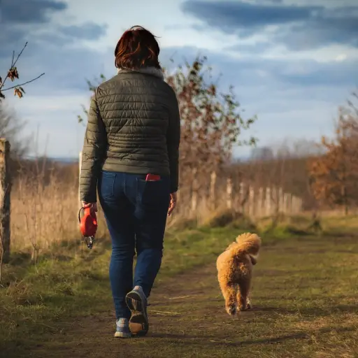 mujer, perro, sendero ,Pixabay