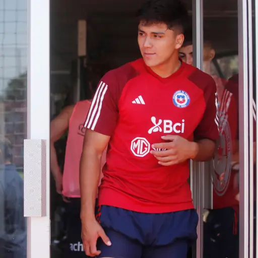 Damián Pizarro ,Photosport