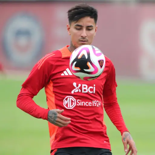 Erick Pulgar ,Photosport