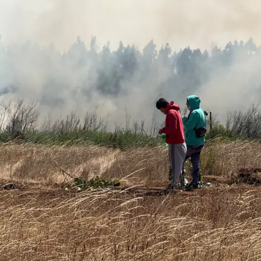 Incendios forestales