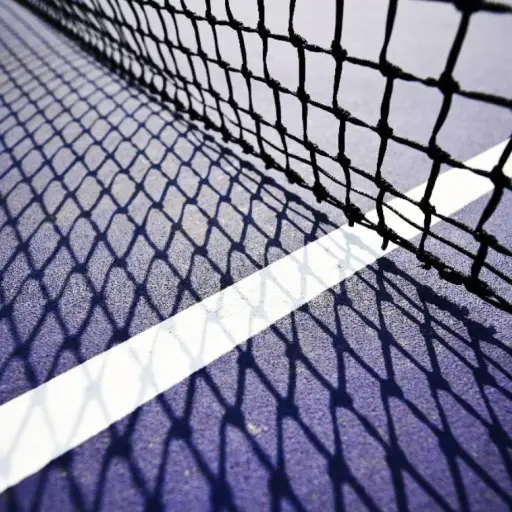 Tenis