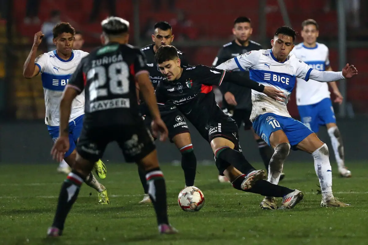 Universidad Católica y Palestino