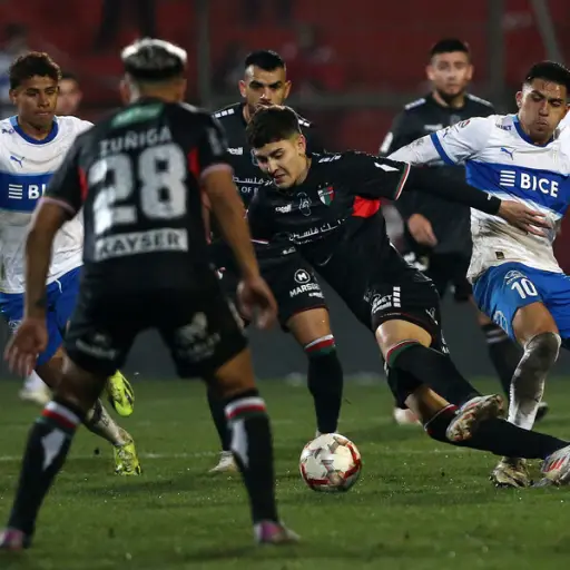 Universidad Católica y Palestino