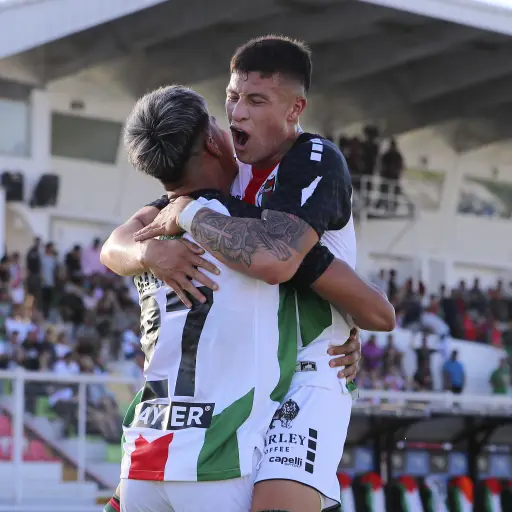 Palestino