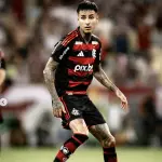 Erick Pulgar