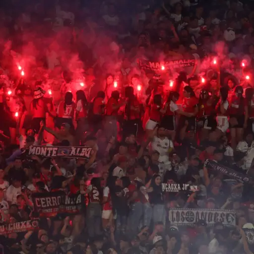 Hinchas de Colo Colo