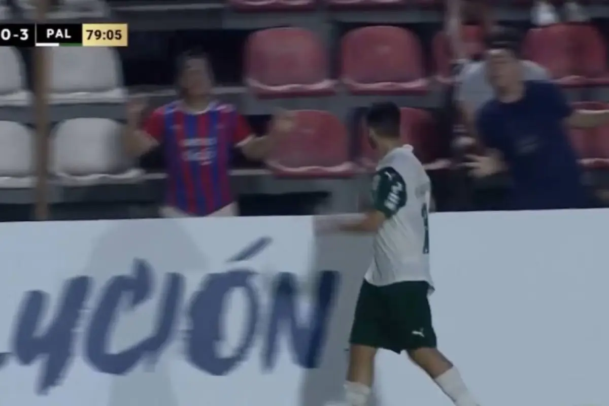 Palmeiras y CerroPorteño