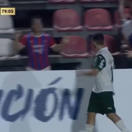 Palmeiras y CerroPorteño