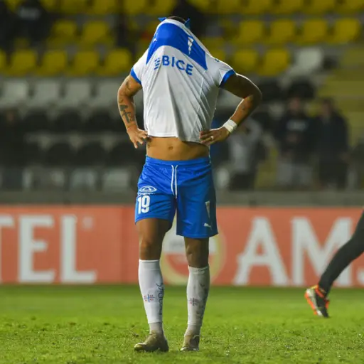 Universidad Católica y Palestino