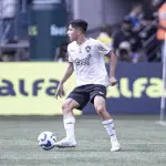 Jefferson Savarino