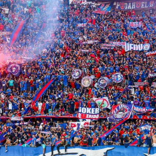 Universidad de Chile hinchas